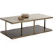 Kamali 60 X 30 inch Matte / Antique Gold Coffee Table